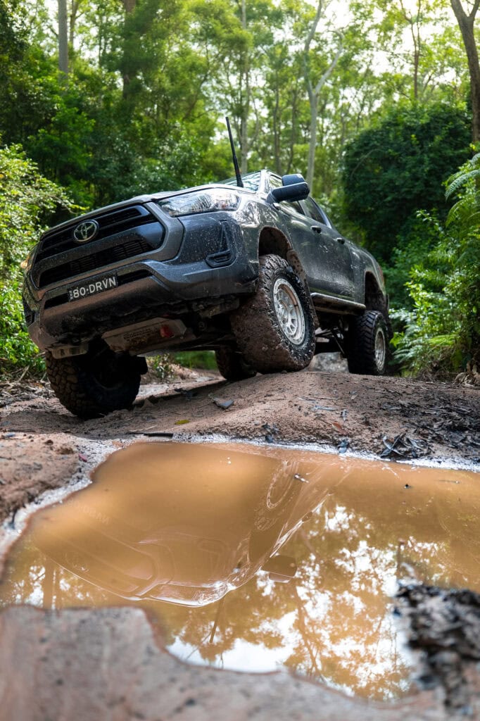 ToyNit-March-'25-10-2000px